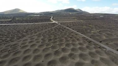 Aerial video footage of the La Geria vineyard on black volcanic soil in Lanzarote, Canary Islands