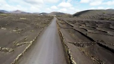 Aerial video footage of the La Geria vineyard on black volcanic soil in Lanzarote, Canary Islands