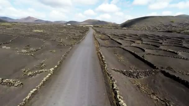 Aerial video footage of the La Geria vineyard on black volcanic soil in Lanzarote, Canary Islands — ストック動画