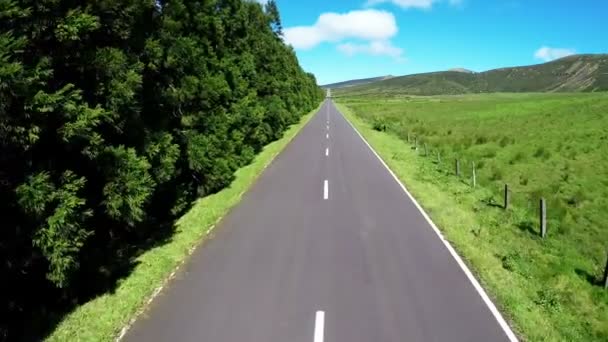 Zdjęcia lotnicze Road in San Miguel (Azory, Portugalia) — Wideo stockowe