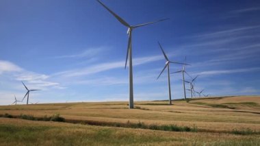 Rüzgar türbinleri yeşil çayır üzerinde. Facinas, Cadiz, İspanya