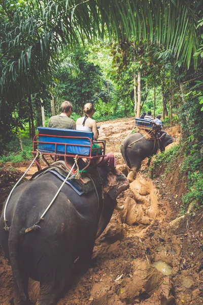 Elefante caminhando pela selva no norte da Tailândia — Fotografia de Stock