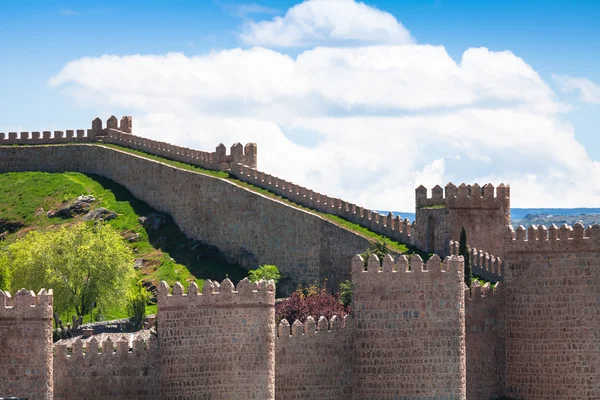 Avila. Pandangan rinci dari dinding Avila, juga dikenal sebagai murallas de avila . — Stok Foto