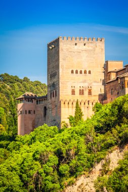 Görünüm ünlü alhambra, granada, İspanya.
