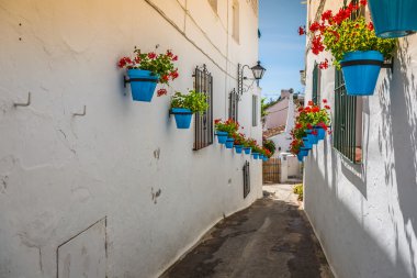 Mijas saksı içinde cepheler ile pitoresk Caddesi. Andalus