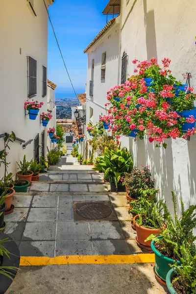 Pittoreska gatan i Mijas med blomkrukor i fasader. Andalus — Stockfoto