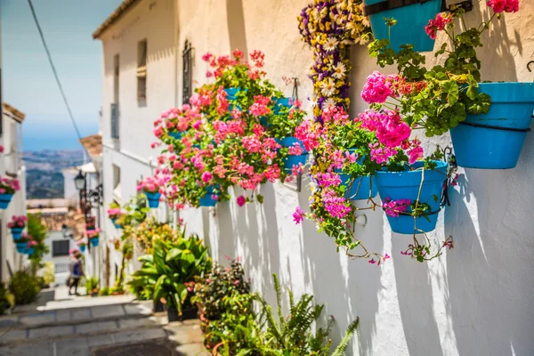 Pittoreska gatan i Mijas med blomkrukor i fasader. Andalus — Stockfoto