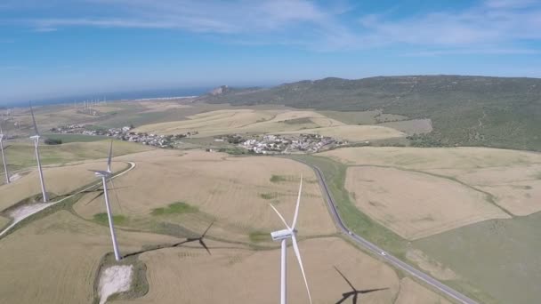 Large wind farm,aerial view — Stock Video