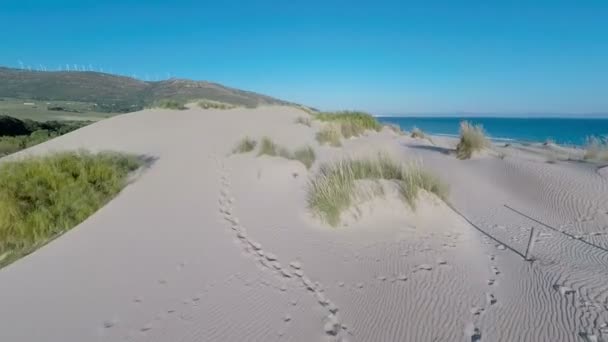 Luchtfoto van vliegen Drone op gebied van Tarifa in Spanje — Stockvideo