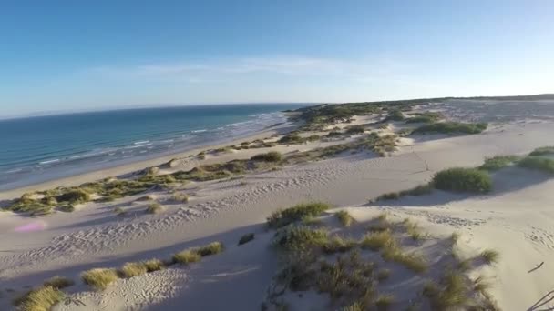 Luchtfoto van vliegen Drone op gebied van Tarifa in Spanje — Stockvideo