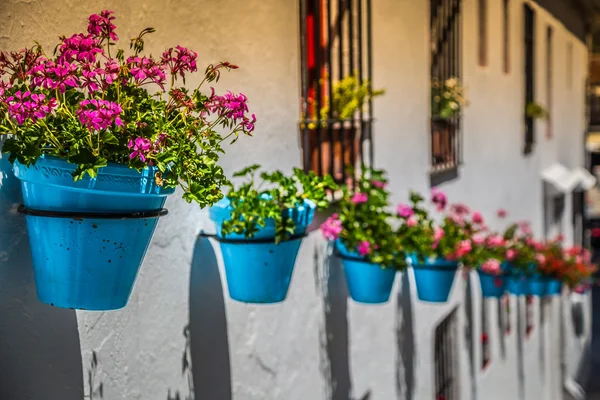 Picturesque street of Mijas. Charming white village in Andalusia — Stock Photo, Image