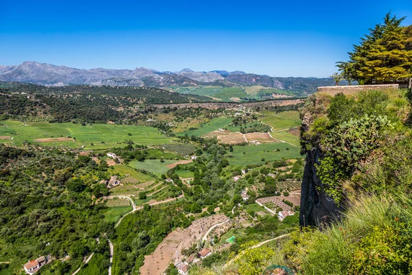 Andalusien Landschaft, Landstraße und Felsen in Ronda, Spanien — Stockfoto