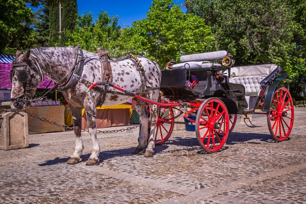 Typisk häst och vagn i tanke på Spaniens Square, i — Stockfoto