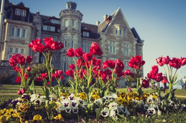güzel magdalena Sarayı Santander, İspanya