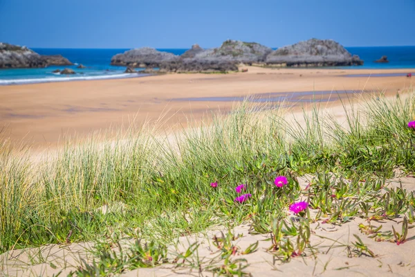 Praia de Helgueras, Noja, Cantabria, Espanha — Fotografia de Stock