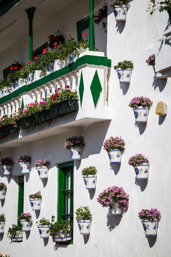 typical image in the Andalusian province of Malaga, Spain
