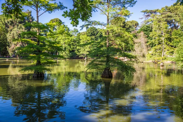 Retiro Park (Parque del Buen Retiro) in Madrid, Spanje — Stockfoto