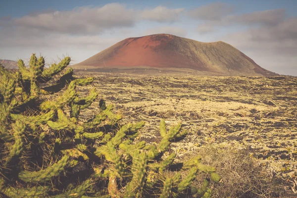 Timanfaya National Park in Lanzarote, Canary Islands, Spain — Stock Photo, Image