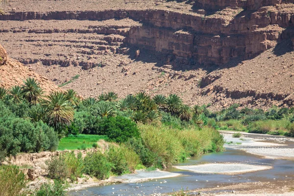 Amplia vista del cañón y campos cultivados y palmeras en Errachidi — Foto de Stock