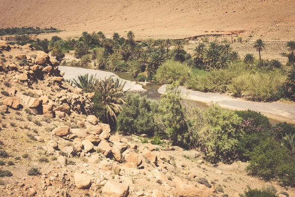 Ampla vista de campos cultivados e palmeiras em Errachidia Marrocos N — Fotografia de Stock