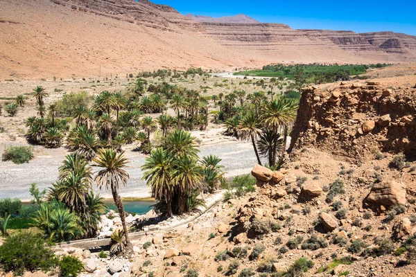 Wide view of canyon and cultivated fields and palms in Errachidi — Stock Photo, Image