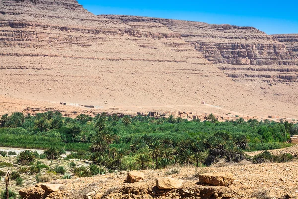 Ampia vista di campi coltivati e palme in Errachidia Marocco N — Foto Stock