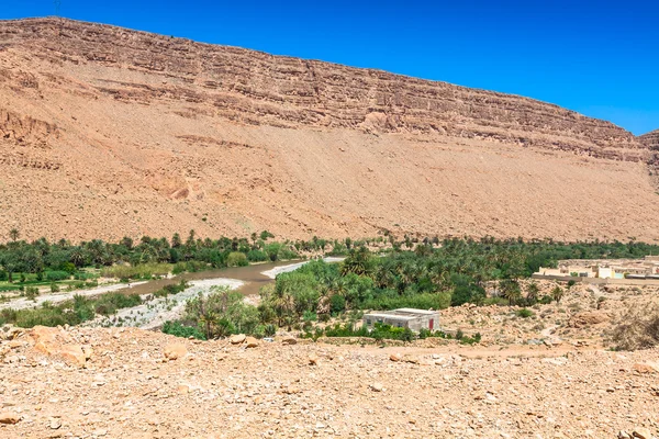 Amplia vista de campos cultivados y palmeras en Errachidia Marruecos N — Foto de Stock
