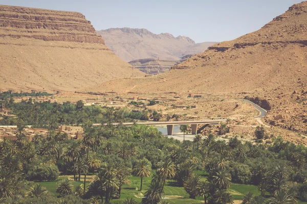 畑やエルラシディア モロッコ N で手のひらの広い視野 — ストック写真