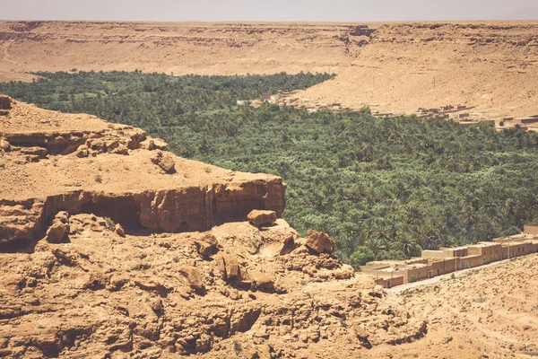 Campi coltivati e palme in Errachidia Marocco Nord Africa A — Foto Stock