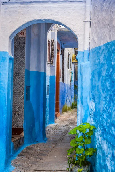 Chefchaouen stará medina, Maroko, Afrika — Stock fotografie