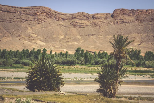 Amplia vista del cañón y campos cultivados y palmeras en Errachidi —  Fotos de Stock