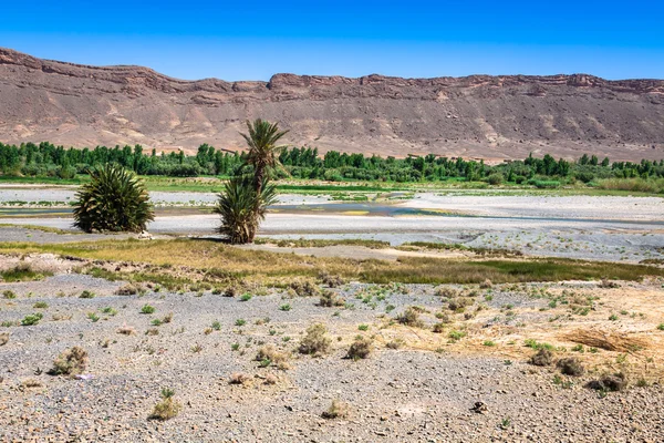 Ampia veduta del canyon e dei campi coltivati e delle palme a Errachidi — Foto Stock