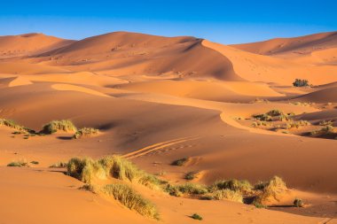 Sahra Çölü 'ndeki kum tepeleri, Merzouga, Fas