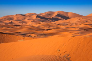 Kum tepeleri Erg African Sahara Çölü, Fas