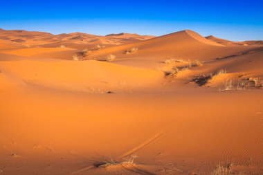 Sahra Çölü 'ndeki kum tepeleri, Merzouga, Fas