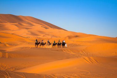 kameel caravan gaan door de duinen in de Saharawoestijn,