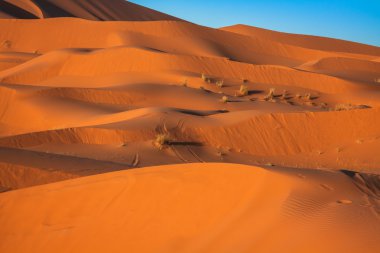 Sahra Çölü 'ndeki kum tepeleri, Merzouga, Fas