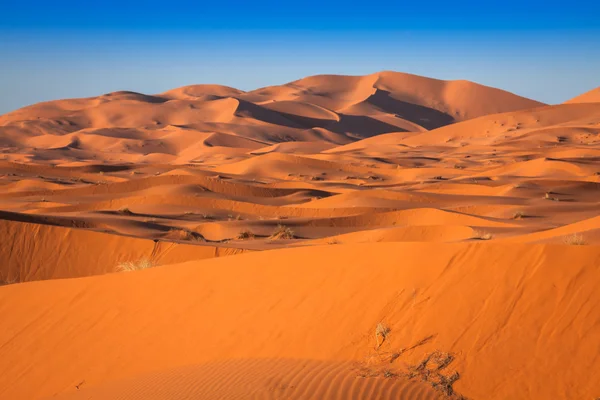 Zandduinen van Erg Chebbi in de Sahara woestijn, Marokko — Stockfoto