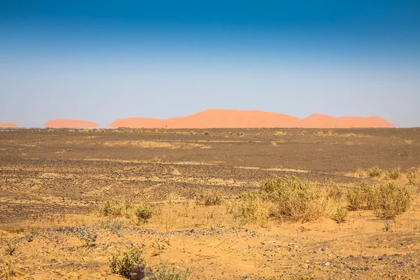 Dune di sabbia di Erg Chebbi int he Sahara Desert, Marocco — Foto Stock