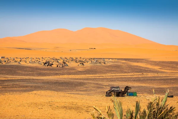 Písečné duny v Erg Chebbi v poušť Sahara, Maroko — Stock fotografie