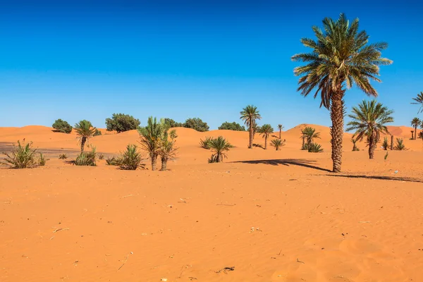Sanddünen von erg chebbi int he sahara desert, Marokko — Stockfoto