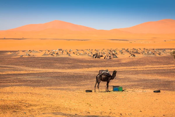 Dunas de Areia de Erg Chebbi int he Sahara Desert, Marrocos — Fotografia de Stock