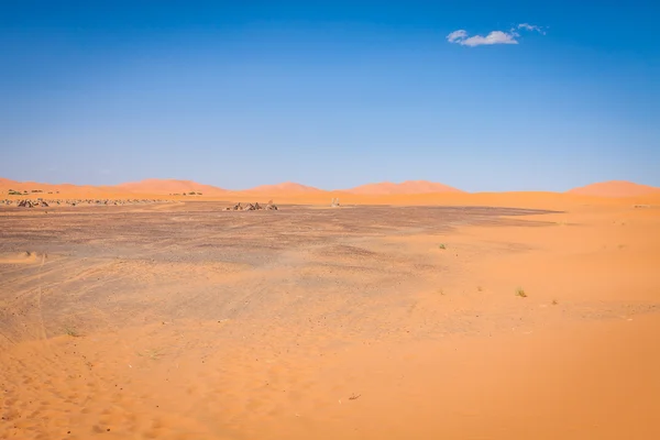 Dunes de sable d'Erg Chebbi int he Sahara Desert, Maroc — Photo