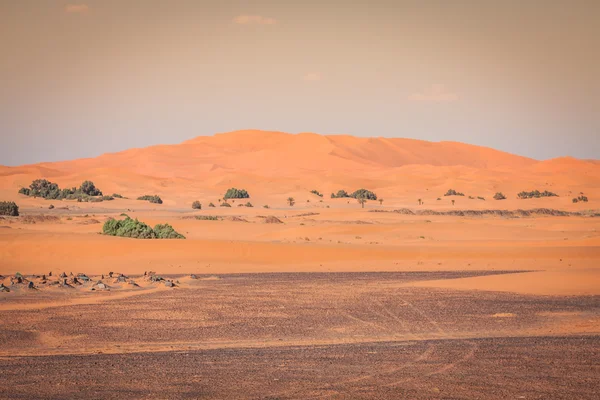 Homokdűnék a Szahara sivatagban, Merzouga, Marokkó — Stock Fotó