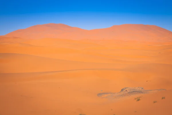 Piaszczyste wydmy na Saharze, Merzouga, Maroko — Zdjęcie stockowe