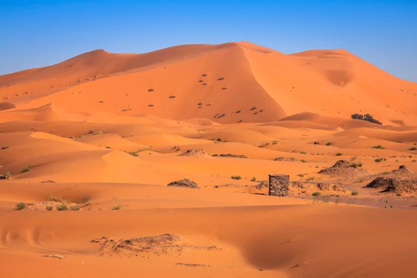 Homokdűnék Erg Chebbi, a Szahara sivatag, Marokkó — Stock Fotó