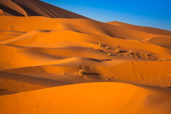 Písečné duny v poušti Sahara, Merzouga, Maroko — Stock fotografie