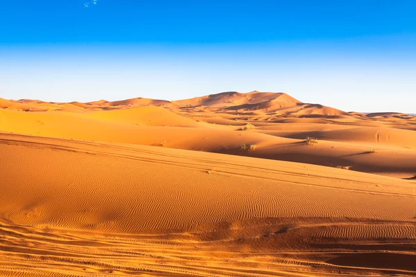 Homokdűnék a Szahara sivatagban, Merzouga, Marokkó — Stock Fotó
