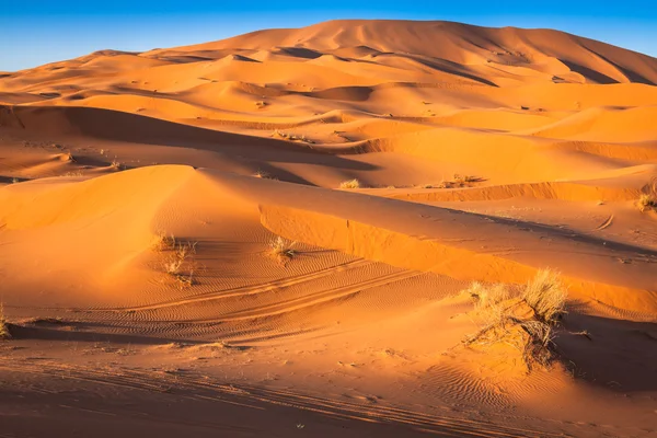 Homokdűnék Erg Chebbi, a Szahara sivatag, Marokkó — Stock Fotó