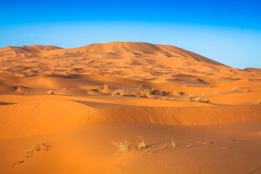 Dune yakınındaki Merzouga Fas Erg African adlı çöl.